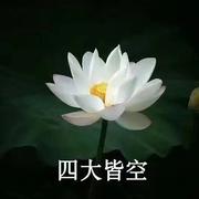 petrichor861的个人资料头像