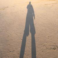 罗大爷的家居脑洞头像