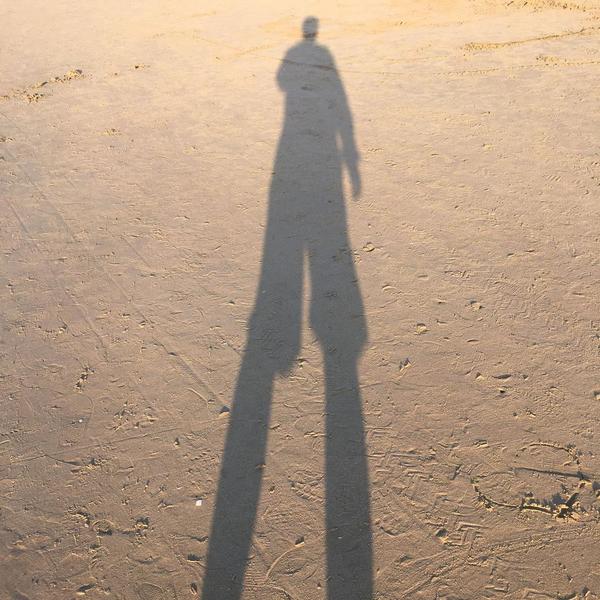 罗大爷的家居脑洞头像