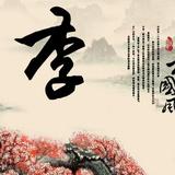 随缘逐梦飞头像