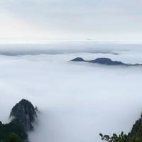 用户8383365150091头像