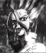 Warming的个人资料头像