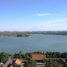 无敌小蛮腰的个人资料头像