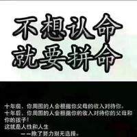 挖掘机挖挖挖头像