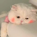 梅梅一朵花头像