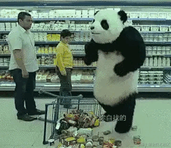 让小熊飞的个人资料头像
