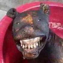 网络让我失身头像