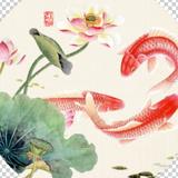 端庄星球agG头像