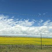 隅安的个人资料头像
