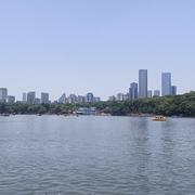 繁花635的个人资料头像