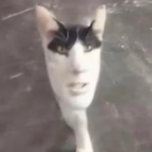 老许头像