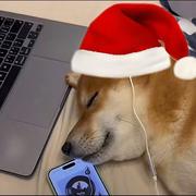 尼克胡尼克的个人资料头像