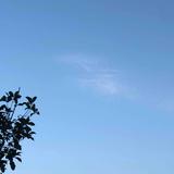 Lauv123头像
