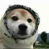 bagwell的个人资料头像