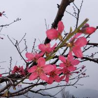 用户6144773843955头像