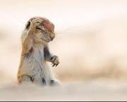 平步青云的个人资料头像