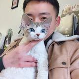 猫司王先森头像