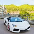 祤橙的个人资料头像