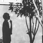 青岚暮枫的个人资料头像