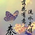 优雅秦少头像