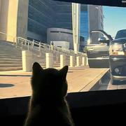 Coisini477的个人资料头像