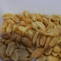 猫弱不是猫头像