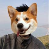 网友大李头像