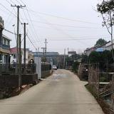 斌斌头像