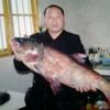 龙先生头像