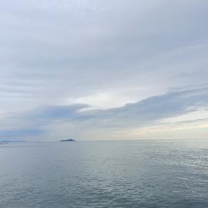 浮生若梦0211头像