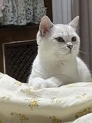 zeping的个人资料头像