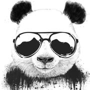 财前的个人资料头像