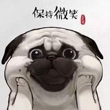 起来009头像