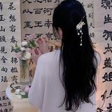 执着的饺子MAY头像