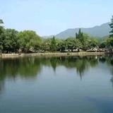 河洛易数头像
