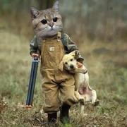 undefined的个人资料头像