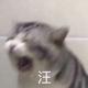Magi丶丶丶头像