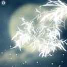 Angery的个人资料头像