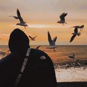 钟羽的个人资料头像