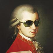 Mozart的个人资料头像