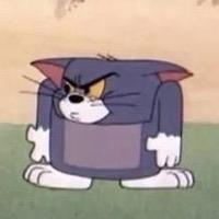 端庄海洋5n头像