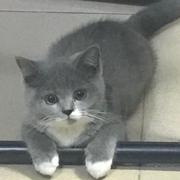 用户884422359902的个人资料头像