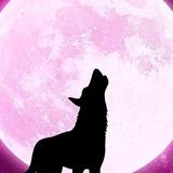 欢快海燕xw3头像