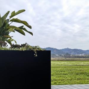 花间一壶酒头像