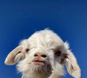 南瓜南瓜大的个人资料头像