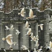 火火火481的个人资料头像