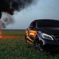 足智多谋的蛋白粉头像