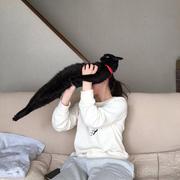 不香的五花肉的个人资料头像