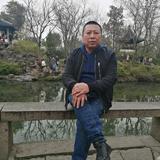 幸运柳叶hZ头像