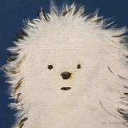 undefined的个人资料头像